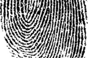 Documents, Emails, Photos, Video in a Massachusetts Divorce