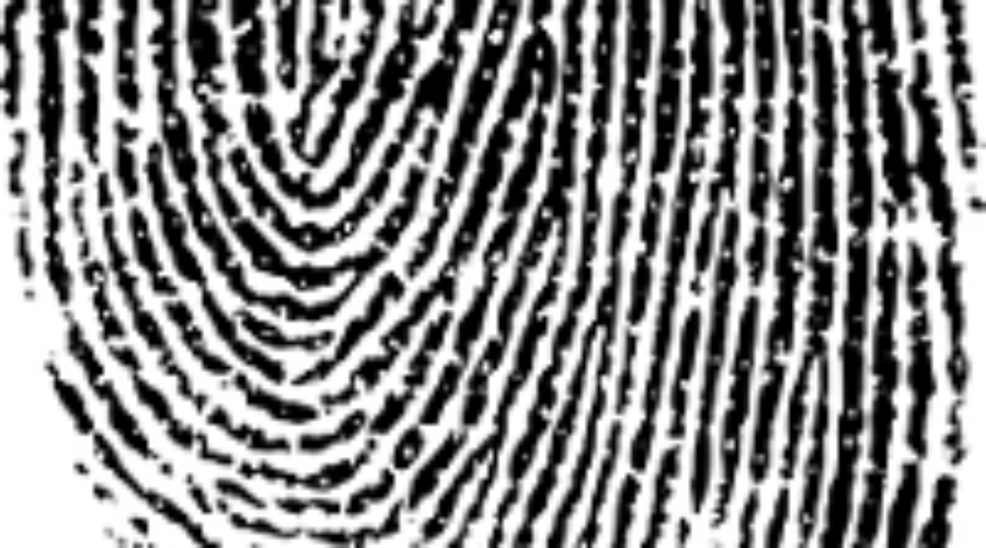 Documents, Emails, Photos, Video in a Massachusetts Divorce